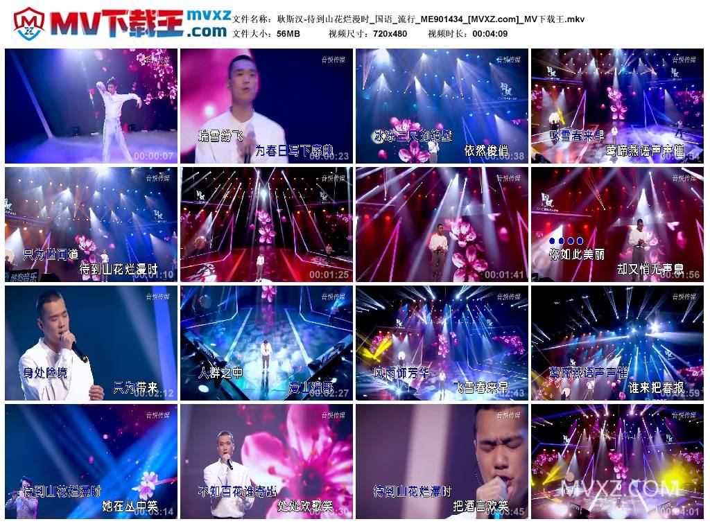 耿斯汉-待到山花烂漫时_国语_流行_ME901434
